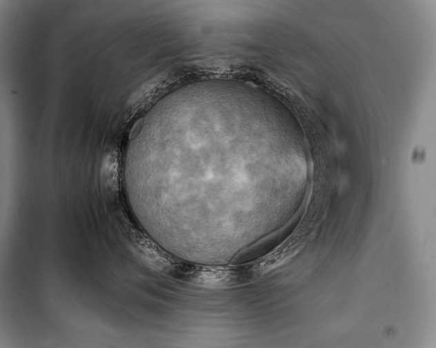 X0000101220720200806271447