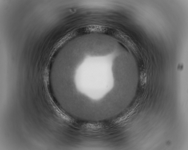 X0000101220725200806271446