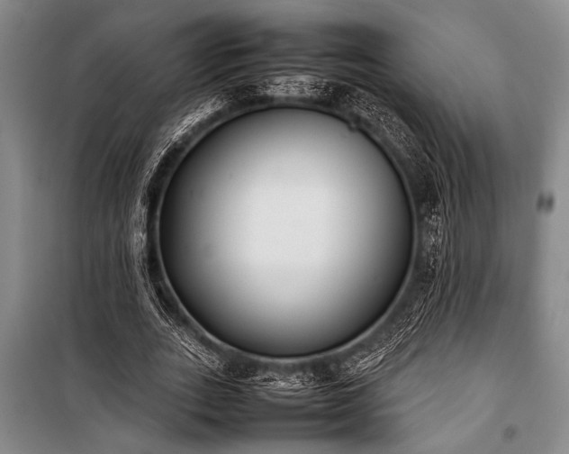 X0000101220727200806271446