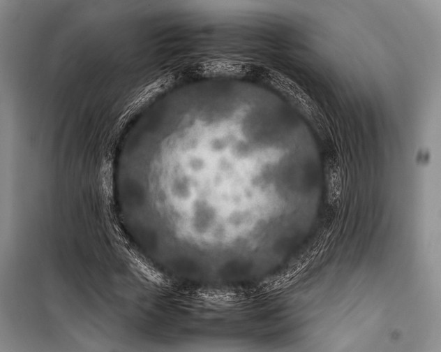 X0000101220729200806271446