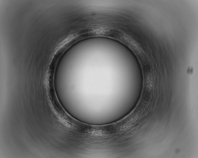 X0000101220730200806271446