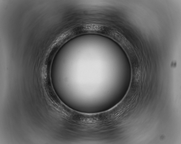X0000101220731200806271447