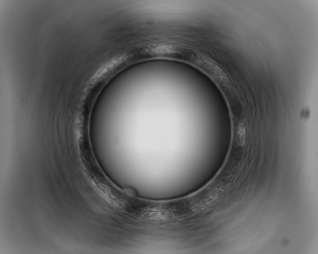 X0000101220732200806271447