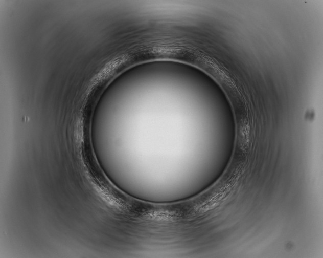 X0000101220734200806271447