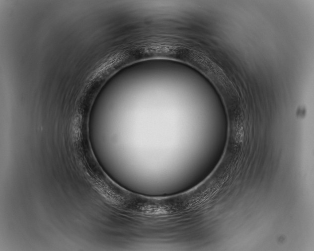 X0000101220735200806271447