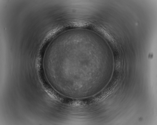 X0000101220736200806271447