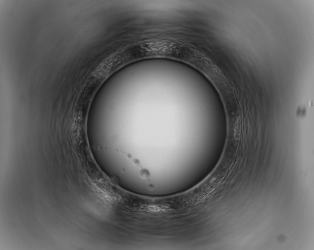 X0000101220737200806271447
