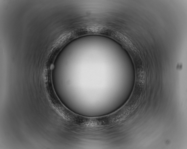 X0000101220738200806271447