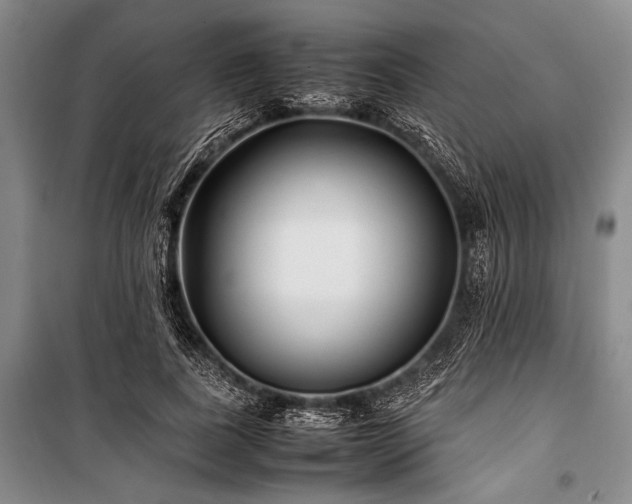 X0000101220739200806271447
