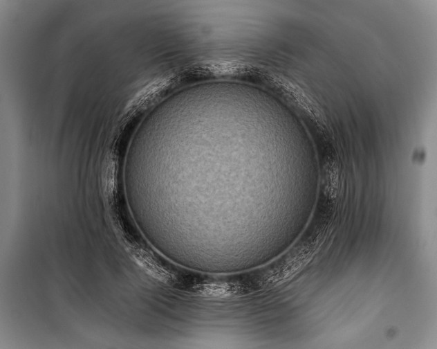 X0000101220740200806271447