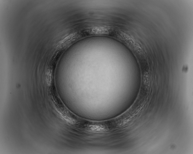 X0000101220741200806271447