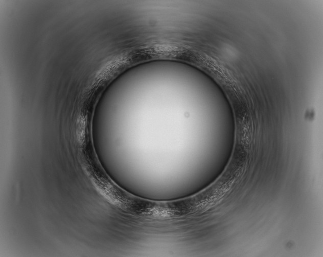 X0000101220742200806271447