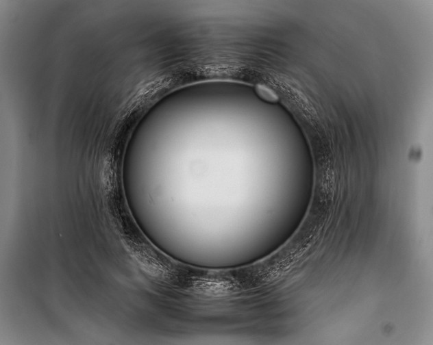 X0000101220743200806271447
