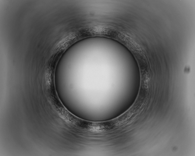 X0000101220746200806271447