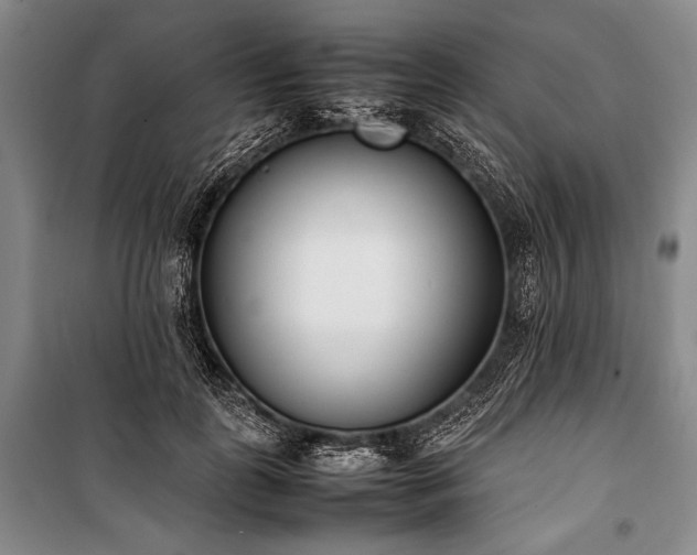 X0000101220747200806271447
