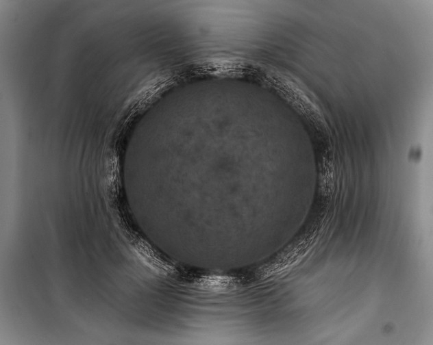 X0000101220748200806271447