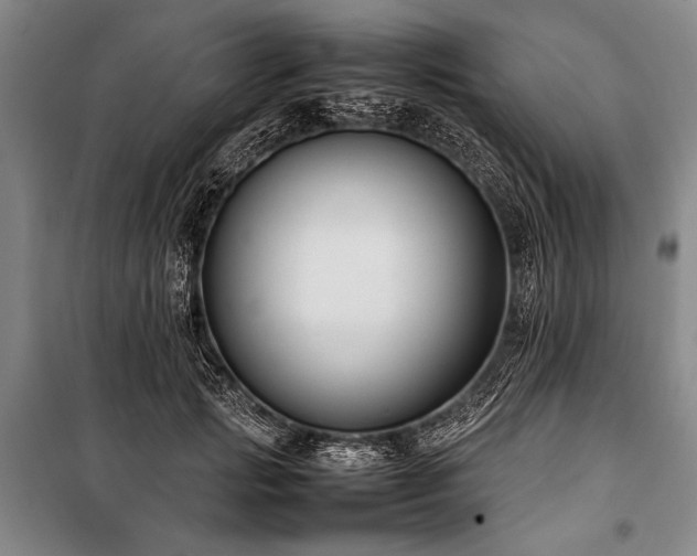 X0000101220749200806271447