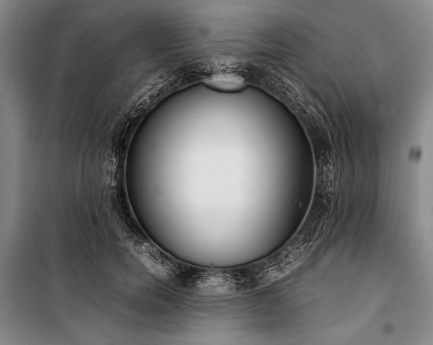 X0000101220750200806271447