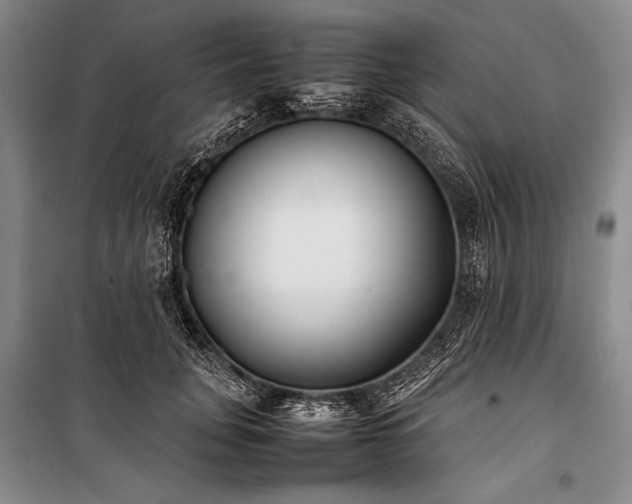 X0000101220751200806271447