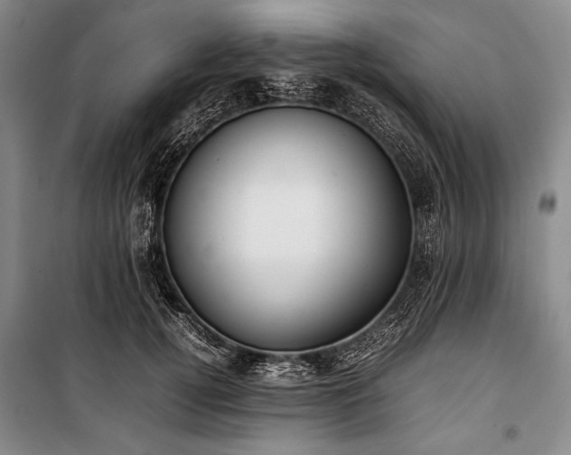 X0000101220752200806271447