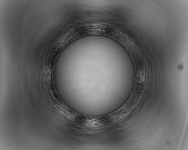 X0000101220753200806271447