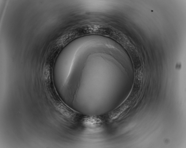 X0000101220754200806271447