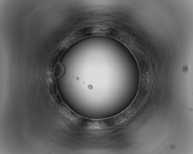 X0000101220755200806271447