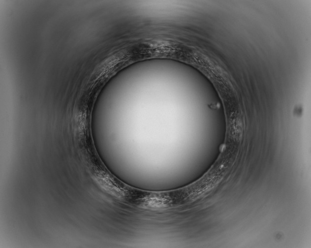 X0000101220756200806271447