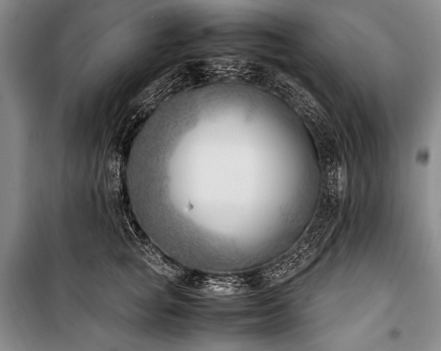 X0000101220757200806271447