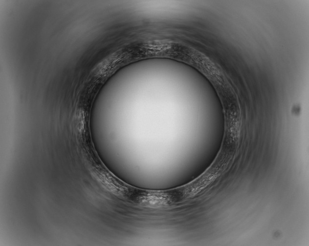 X0000101220758200806271447