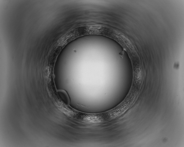 X0000101220759200806271447