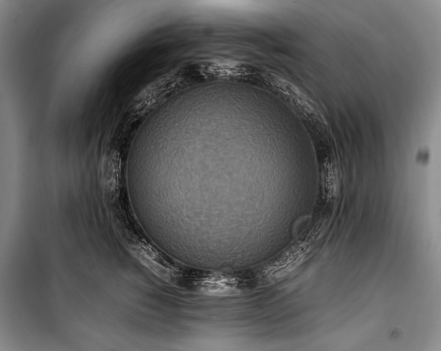 X0000101220760200806271447