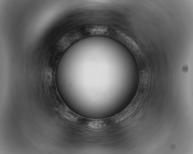 X0000101220761200806271447