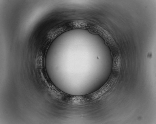 X0000101220762200806271447
