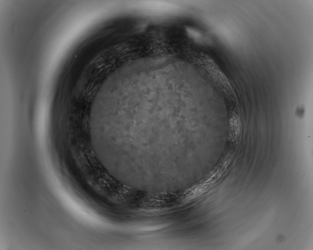 X0000101220765200806271447