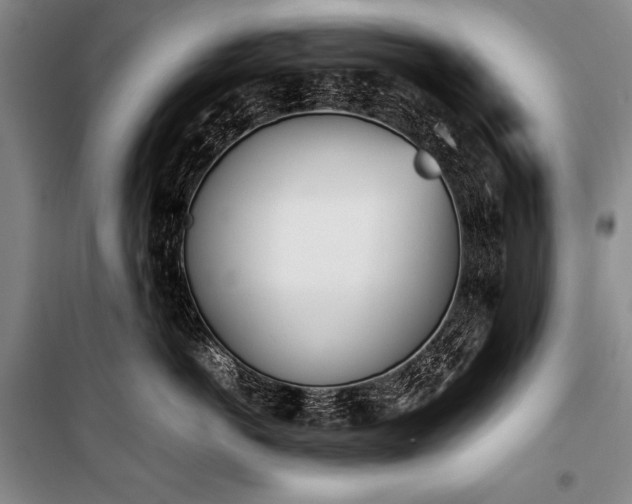 X0000101220766200806271447