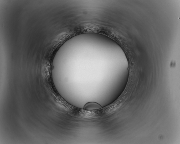 X0000101220768200806271447
