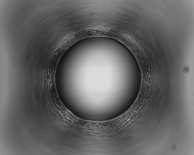 X0000101220774200806271446