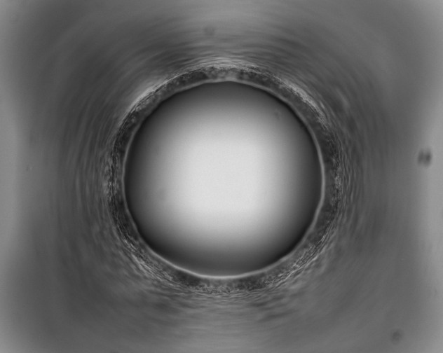 X0000101220775200806271446