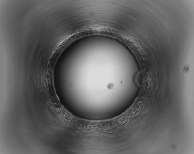 X0000101220776200806271446