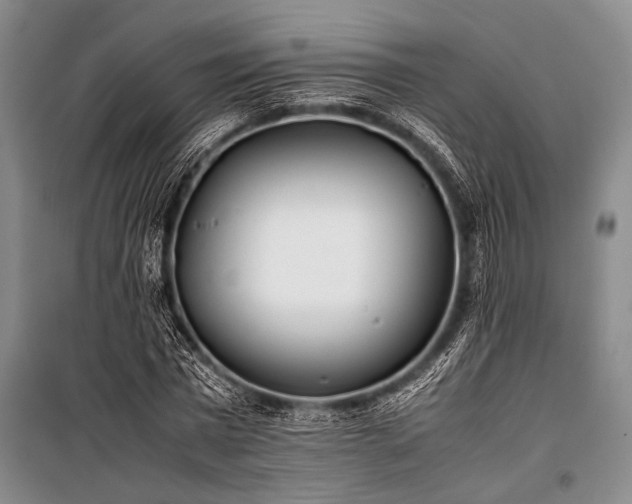 X0000101220777200806271446
