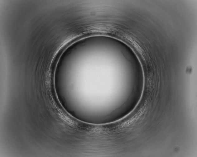 X0000101220779200806271446