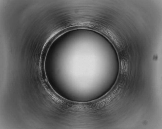 X0000101220780200806271446