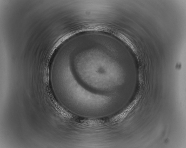 X0000101220781200806271446