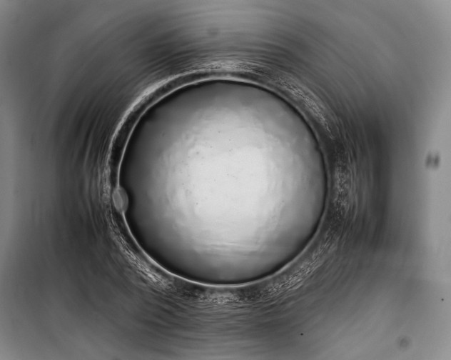 X0000101220784200806271446