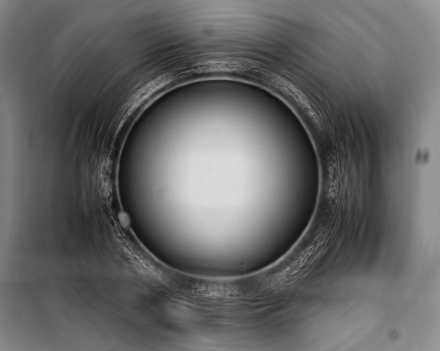 X0000101220786200806271446