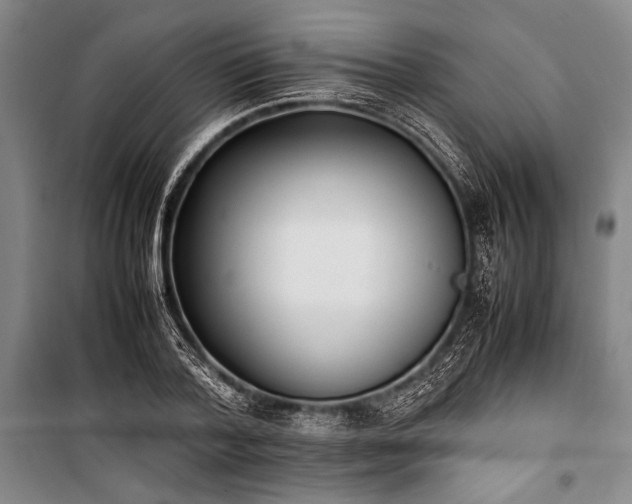 X0000101220788200806271446