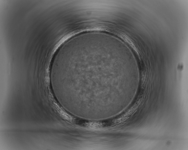 X0000101220789200806271446