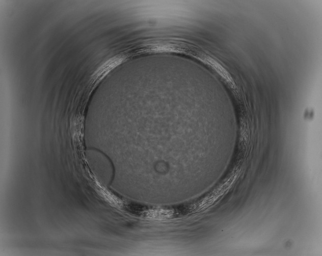 X0000101220793200806271446