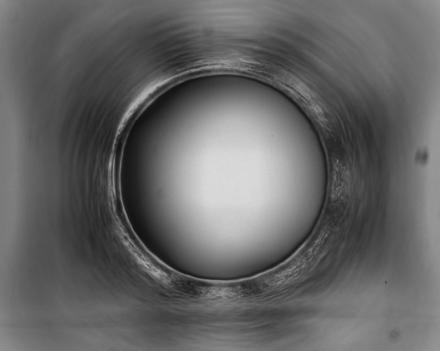 X0000101220796200806271446